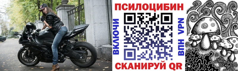 купить наркоту  Чебоксары  ссылка на мегу маркетплейс  Псилоцибиновые грибы Magic Shrooms 